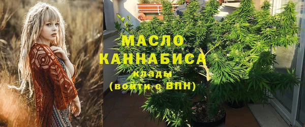 молекула духа Нягань