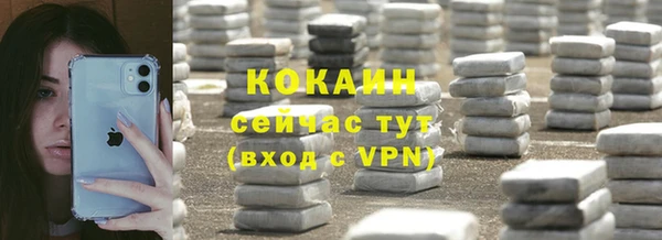 молекула духа Нягань