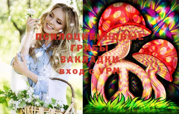 молекула духа Нягань
