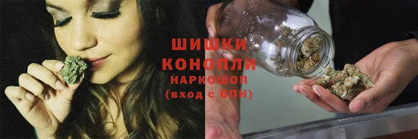гидропоника Няндома