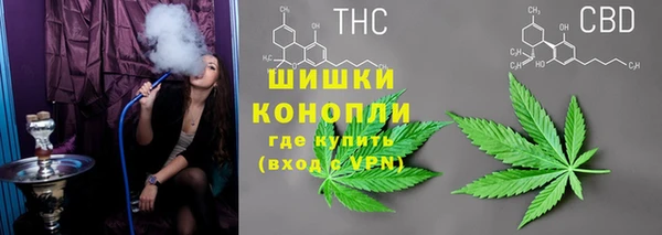 гидропоника Няндома