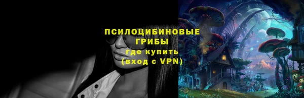 гидра Нязепетровск