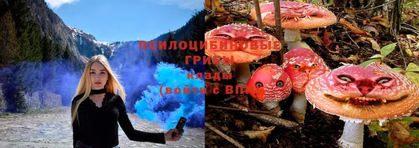 гидра Нязепетровск
