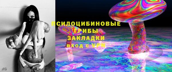 гидропоника Няндома