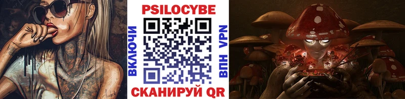 Купить где  Ивдель  Галлюциногенные грибы GOLDEN TEACHER 